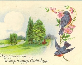 Pair of Bluebirds on Antique Birthday Postcard - Stecher Litho – Family Enjoying a Quiet Walk in the Countryside