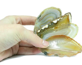 Four Cut & Polished Brazilian Agate Slabs