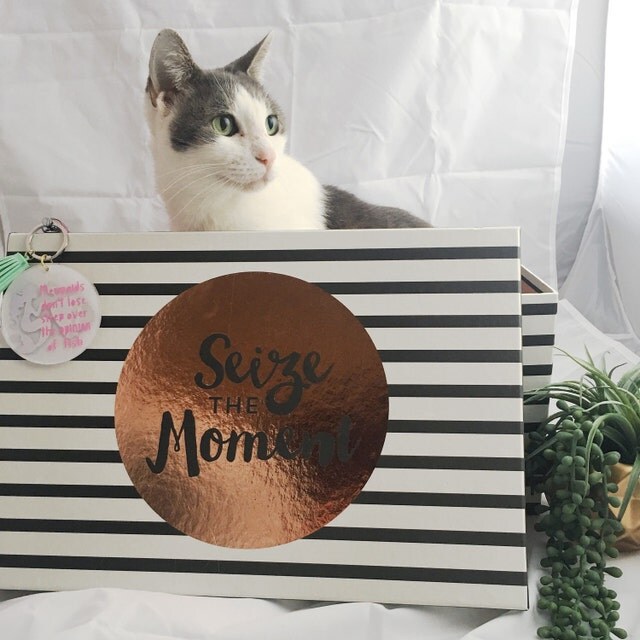 The Golden Type gifts and lifestyle accessories. by TheGoldenType