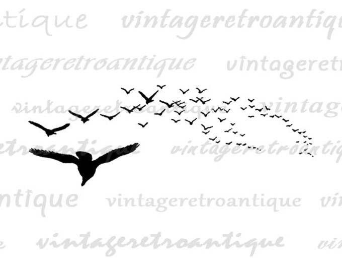 Birds in Flight Image Graphic Digital Flying Bird Printable Antique Download Vintage Clip Art Jpg Png Eps HQ 300dpi No.141