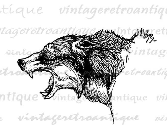 Digital Printable Fierce Wolf Graphic Wolves Image Animal Download Vintage Clip Art Jpg Png Eps HQ 300dpi No.172