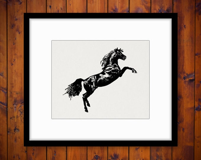 Antique Horse Graphic Printable Download Image Leaping Horse Digital Vintage Clip Art Jpg Png Eps HQ 300dpi No.4060