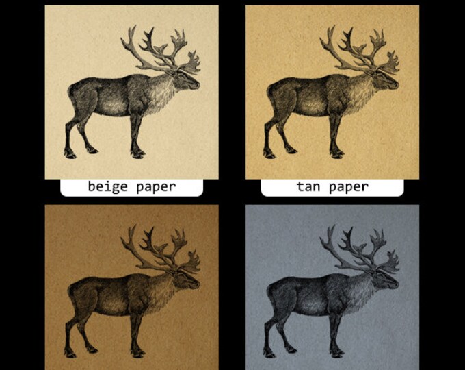 Printable Caribou Digital Image Graphic Download Artwork Vintage Clip Art Jpg Png Eps HQ 300dpi No.2141