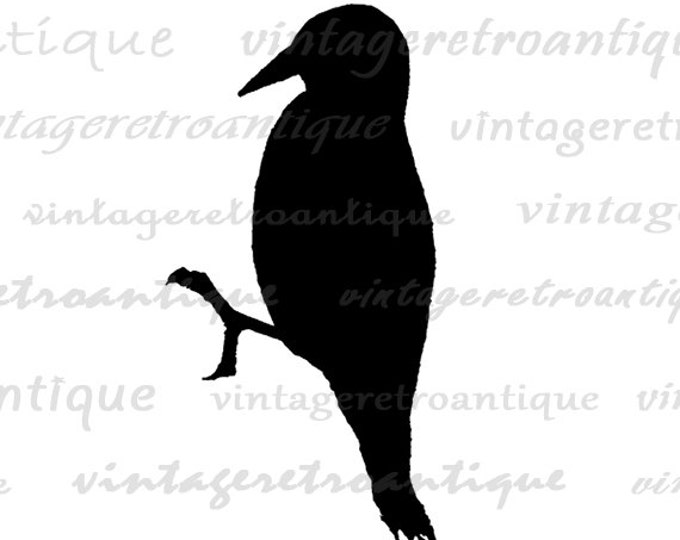 Printable Digital Bird Silhouette Graphic Image Download Vintage Clip Art Jpg Png Eps HQ 300dpi No.3280