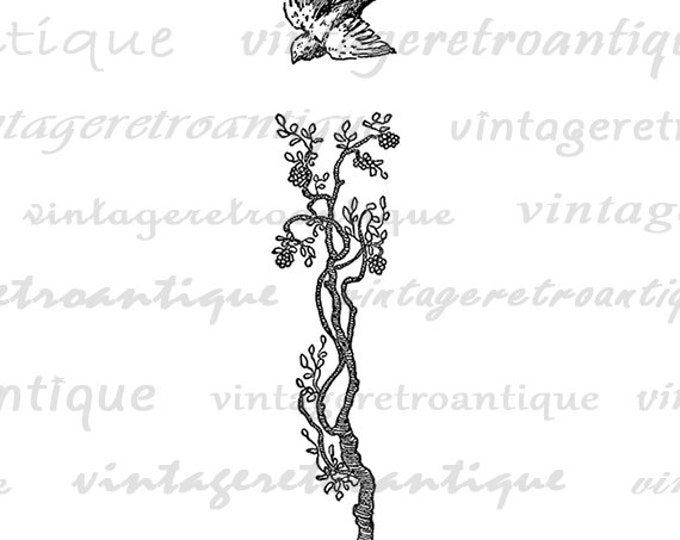 Digital Bird and Tree Printable Image Download Graphic Illustration Vintage Clip Art Jpg Png Eps HQ 300dpi No.2447