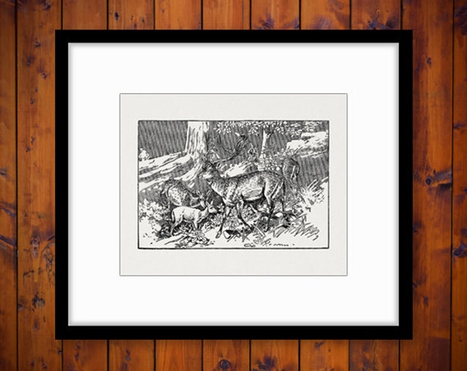 Digital Antique Deer Artwork Printable Image Deer Illustration Download Graphic Vintage Clip Art Jpg Png Eps HQ 300dpi No.2609