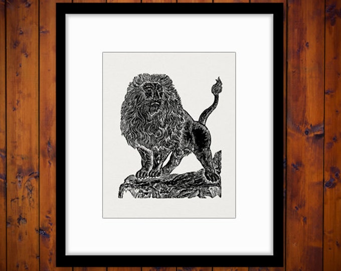 Majestic Lion Digital Graphic Printable Image Antique Lion Illustration Download HQ 300dpi No.3921