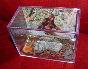 Bigfoot/Sasquatch "Proof of Existence Display! Own a Cast of His/Hers Footprint Today!!