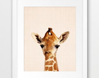Giraffe Print, Baby Giraffe Wall Art, Safari Decor, African Animals Print, Nursery Animal Decor, Animal Photo,Kids Room Decor, Printable Art