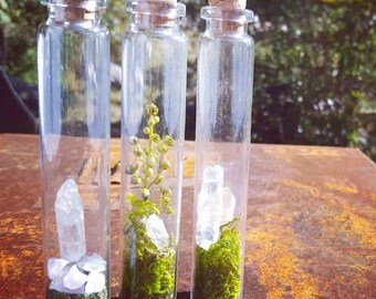 Glass Crystal Terrarium Specimen Vial