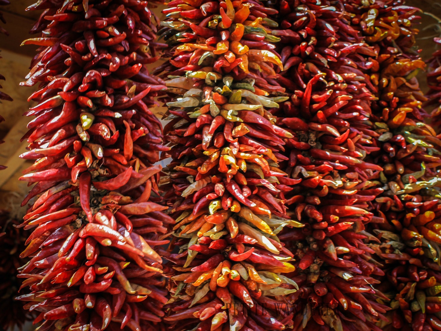 Hanging Red Ristras Chili Peppers Santa Fe Decor Hanging