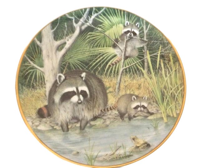 Raccoon Wall Plate, Wall Decor Plate, Cabin Decor, Woodland Year, Peter Barrett, Curious Raccoons,Gift For Christmas