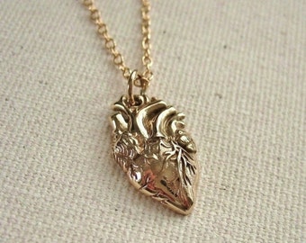 Anatomical Human Heart Necklace Small Size Bronze