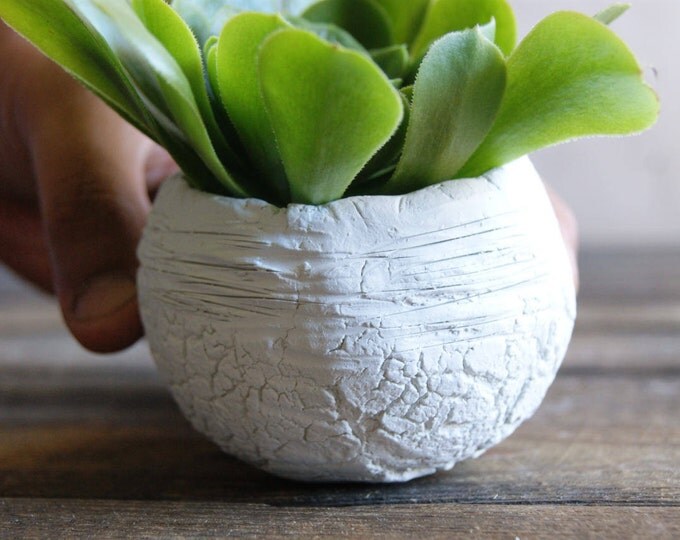 Decor for girls room Ceramic planter, Succulent planter,Ceramics & pottery, Planter flower pot, Flower plant pot White pots Clay pots 5.0 oz