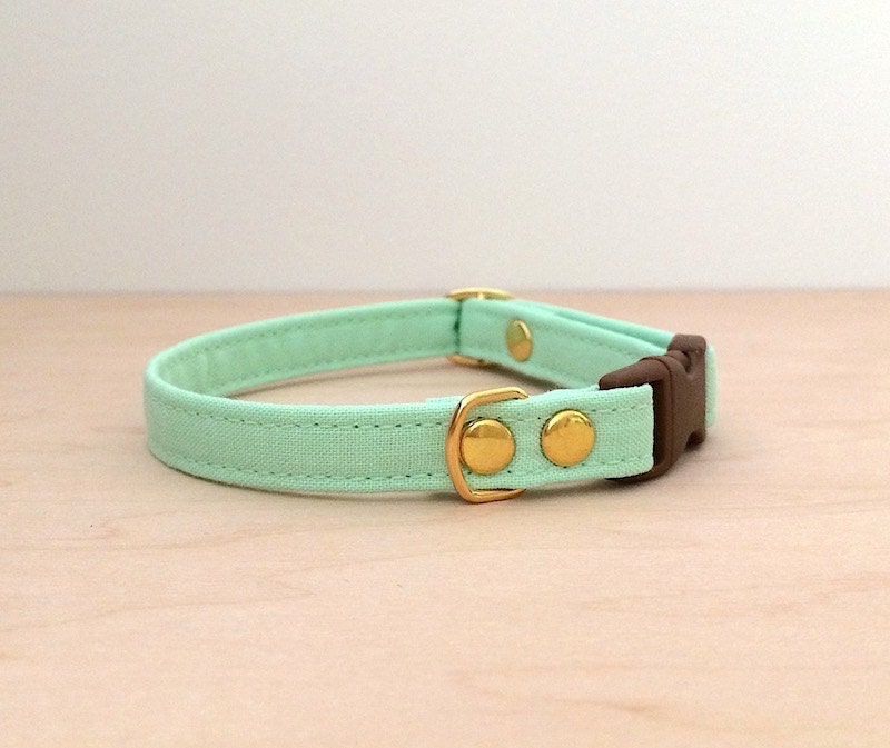 Mint Green Breakaway Cat Collar