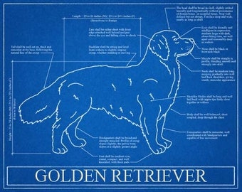 Golden Retriever Blueprint Elevation / Golden Retriever Art / Golden Retriever Wall Art / Golden Retriever Gift / Golden Retriever Print