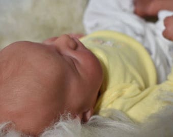Reborn Levi brown 1st edition~ please read description