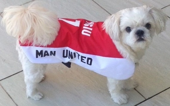 Man United Personalised Dog Coat size X Large 26 ALL