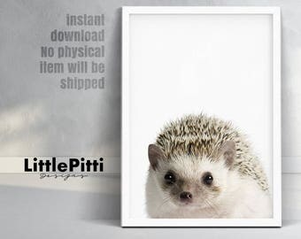 Hedgehog print, nursery animal print, small animal print, woodlands animals print, nursery woodland decor, animal photo prints, kids room