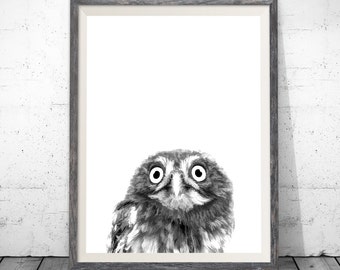owl print, nursery printable, owl decor, owl wall art, owl photo, nursery decor, woodland nursery, owl, woodland animals, owl art