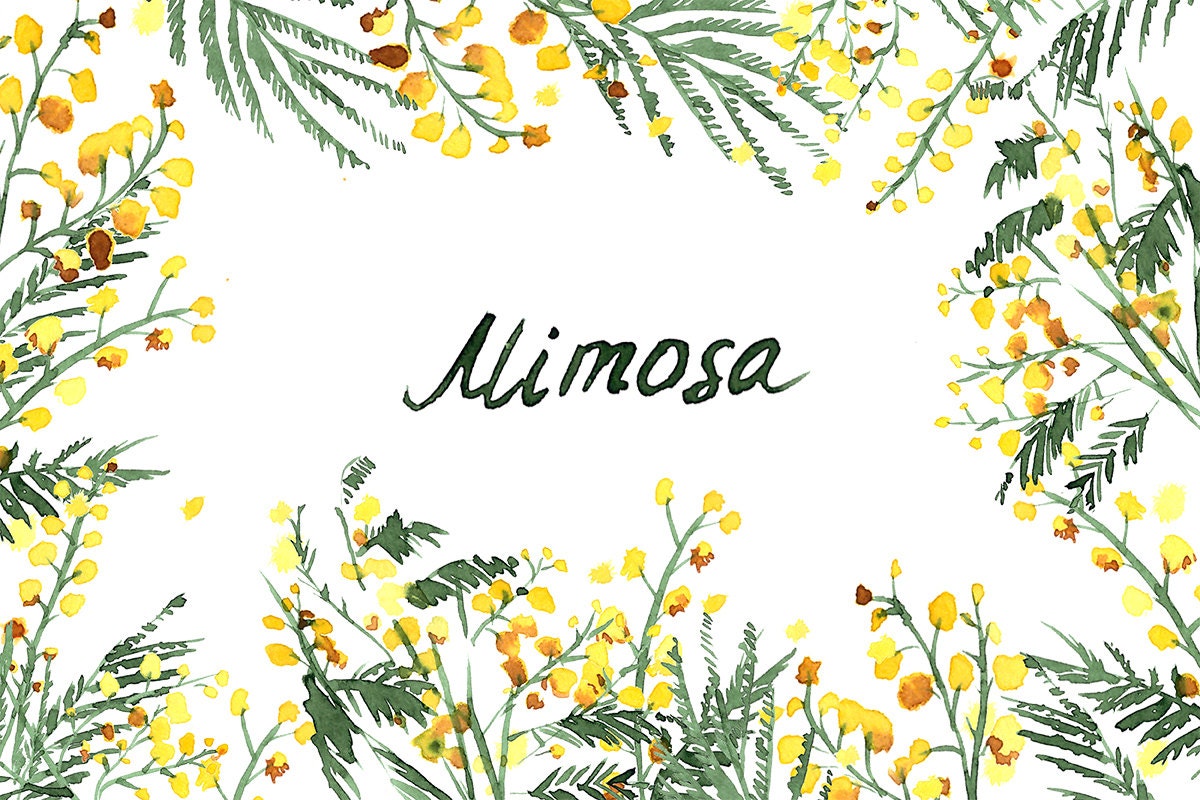 clip art mimosa tree - photo #16