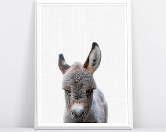 donkey print  etsy