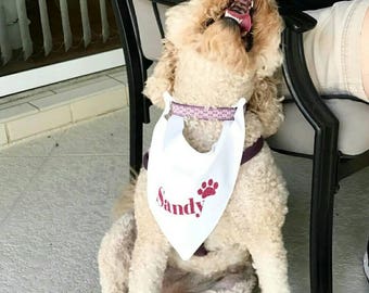 Slide On Dog Collar, Gender Reveal Bandana, Birthday Bandana, Big Brother Big Sister Bandana,