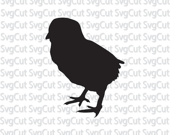 chick svg little chicken cut file farm animal designs silhouette digital files