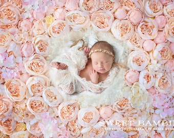 Newborn Digital Backdrop - Peach and Pink Peony Flower Wall