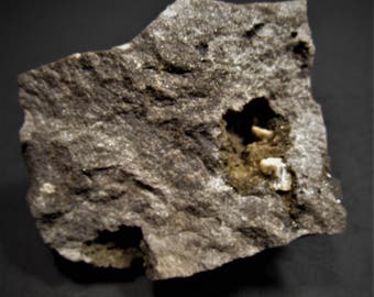 Dolomite xl from Utica, NY