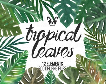 Tropical Watercolor Clip Art Set, Summer Clipart, Leaves Clipart, Exotic Leaves, Exotic Clipart, Vacation Cliparts, Scrapbooking Cliparts