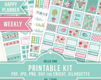 Weekly Happy Planner, June Weekly, Weekly Planner Stickers, Weekly Happy Planner, Printable Planner Stickers, MAMBI Sticker Kit, 17040