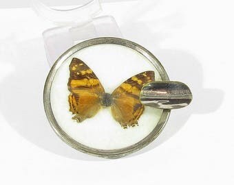 vintage ashtray butterfly