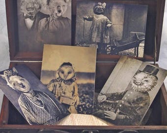 Set of 5 original Postcards - Mini Print Set N4 portrait animals - anthropomorphic portrait old sloth alpaca blowfish wombat koala owl