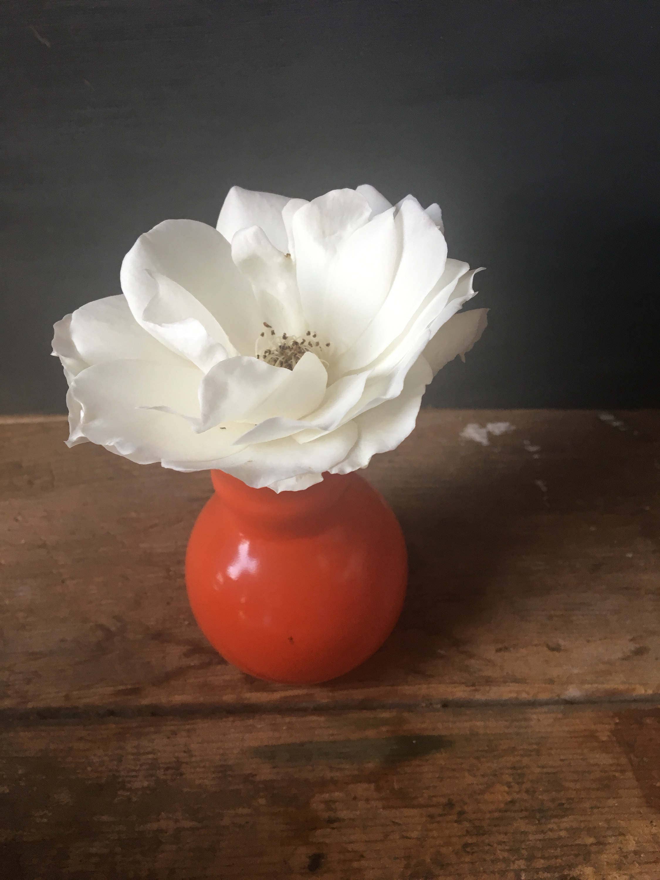 Vintage Orange Glass Modern Bud Vase
