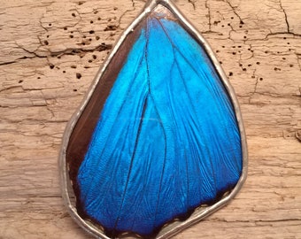 Real butterfly, real butterfly jewelry, handmade butterfly jewelry, real butterfly pendant,Real Butterfly Wing Necklace, Blue Morpho Pendant