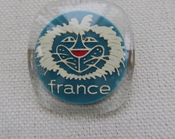 Lucite France Brooch, Vintage French Souvenir Pin, Smiling Lion Face, French Jewelry