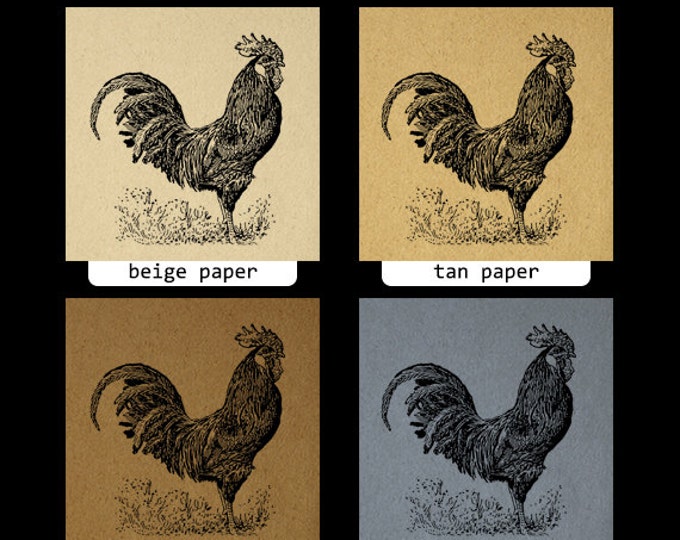 Rooster Graphic Image Printable Chicken Illustration Digital Download Vintage Art Antique Farm Animal Clip Art Jpg Png Eps HQ 300dpi No.3175