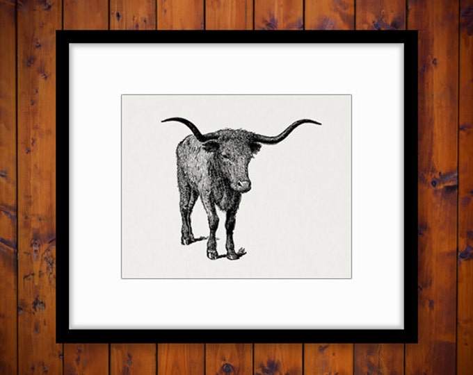 Texas Longhorn Bull Printable Bull Horns Graphic Western Farm Cow Steer Digital Image Antique Vintage Clip Art Jpg Png Eps HQ 300dpi No.3158