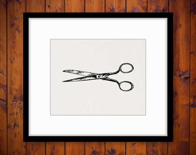 Antique Shears Image Digital Download Scissors Graphic Barber Hair Printable Vintage Clip Art Jpg Png Eps HQ 300dpi No.1521