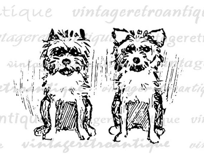 Little Yorkie Dogs Digital Image Graphic Cute Download Illustration Printable Vintage Clip Art Jpg Png Eps HQ 300dpi No.3092