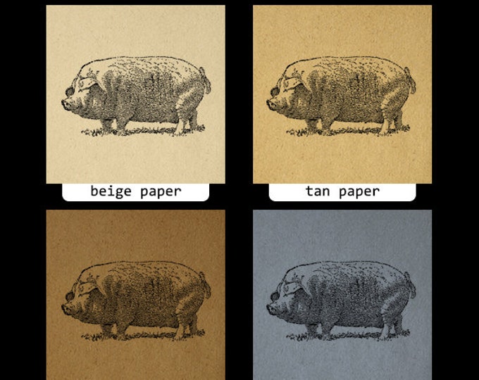 Big Pig Printable Image Graphic Illustration Digital Download Antique Clip Art Jpg Png Eps HQ 300dpi No.3215