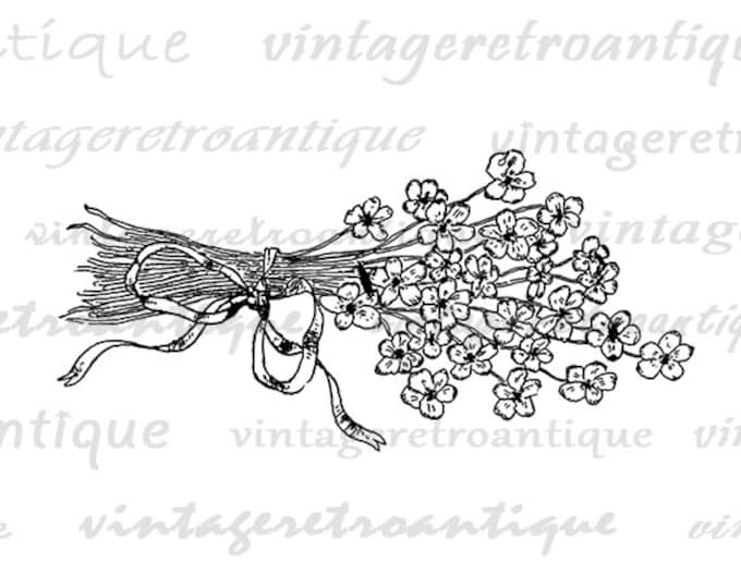 Printable Image Violet Flowers Download Violets Digital Graphic Artwork Vintage Clip Art Jpg Png Eps HQ 300dpi No.4269