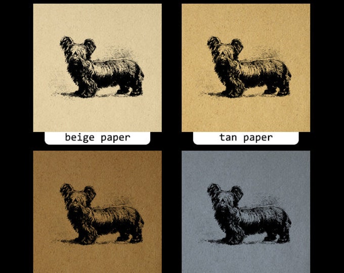 Digital Image Small Dog Graphic Download Printable Antique Clip Art Jpg Png Eps HQ 300dpi No.661