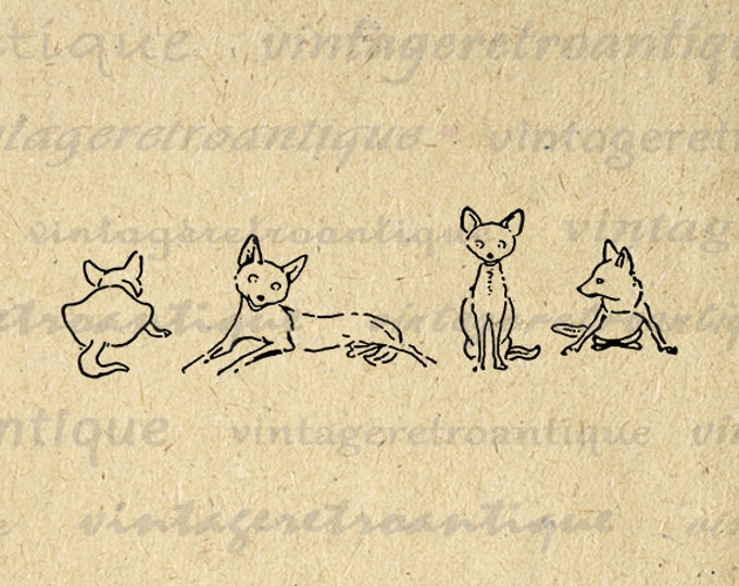 Digital Printable Four Foxes Download Cute Illustration Graphic Image Vintage Clip Art Jpg Png Eps HQ 300dpi No.890