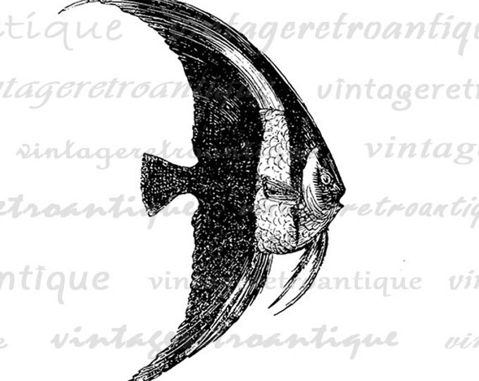 Digital Printable Antique Fish Graphic Ocean Download Image Vintage Clip Art for Transfers Printing etc HQ 300dpi No.598