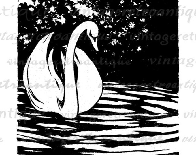 Swan Illustration Graphic Digital Image Bird Artwork Printable Download Vintage Clip Art Jpg Png Eps HQ 300dpi No.1998