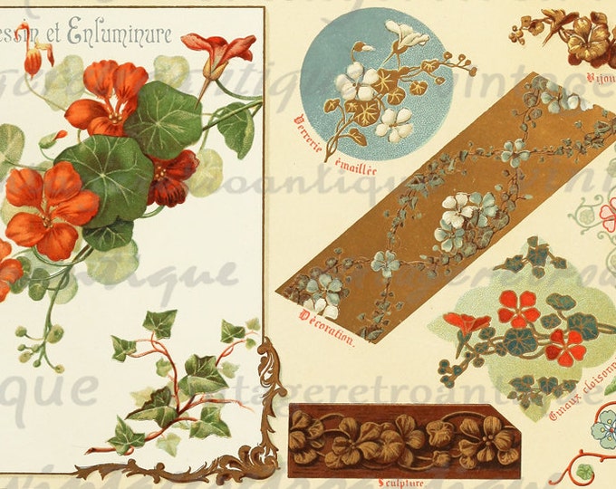 Flower Collage Sheet Design Digital Graphic Image Antique Color Download Printable Vintage Clip Art HQ 300dpi No.363