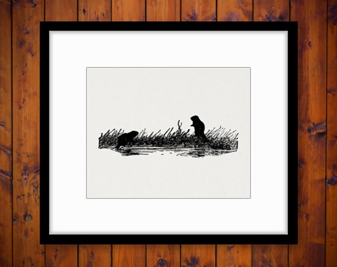 Digital Beaver Silhouettes Antique Graphic Printable Download Image Vintage Clip Art Jpg Png Eps HQ 300dpi No.482