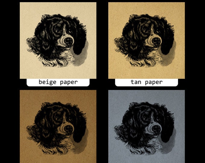 Printable Dog Image Graphic Download Illustration Digital Artwork Vintage Clip Art Jpg Png Eps HQ 300dpi No.2240